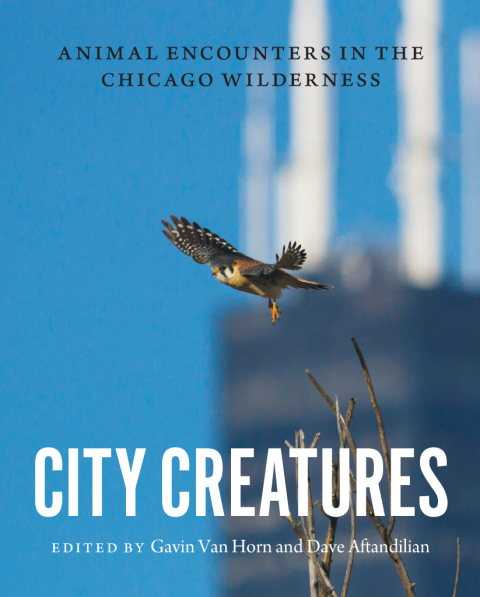 Cover image for book City Creatures