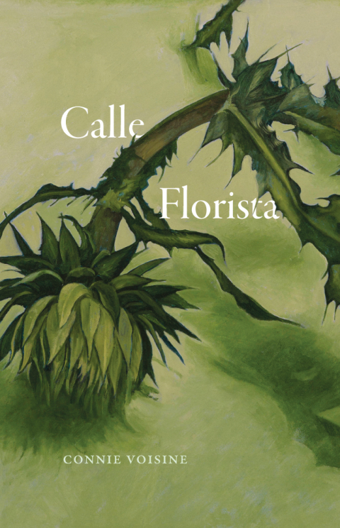 Cover image for book Calle Florista