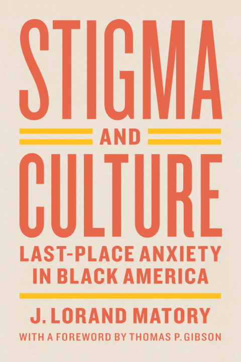 Cover image for book Stigma and Culture