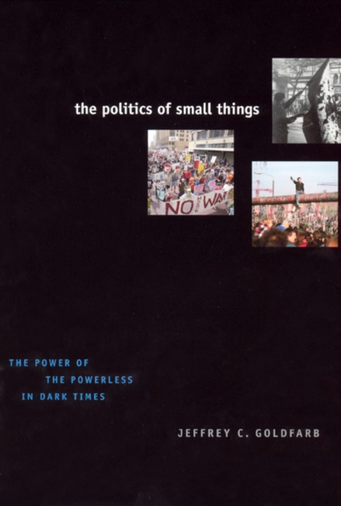 Cover image for book The Politics of Small Things