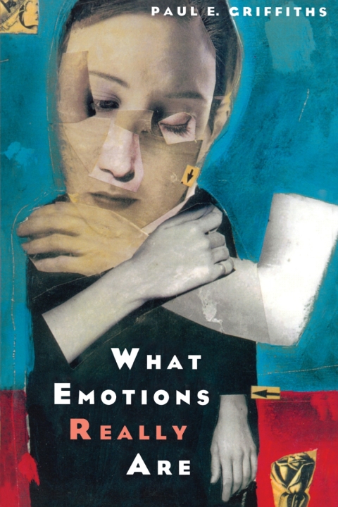 What Emotions Really Are 