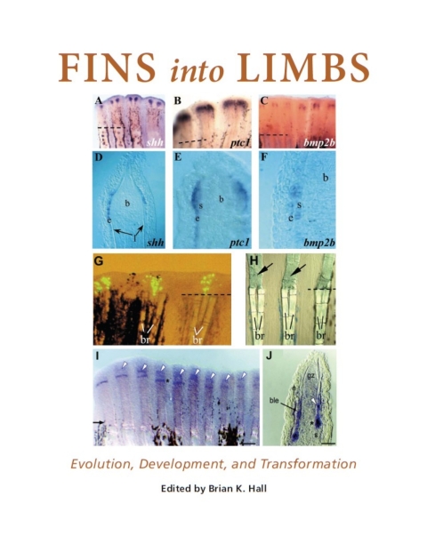Cover image for book Fins into Limbs