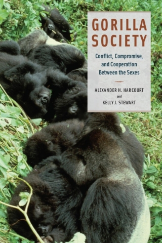 Gorilla Society