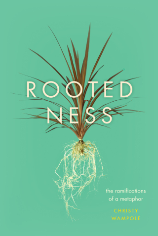 Rootedness