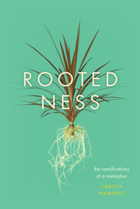 Cover image for book Rootedness