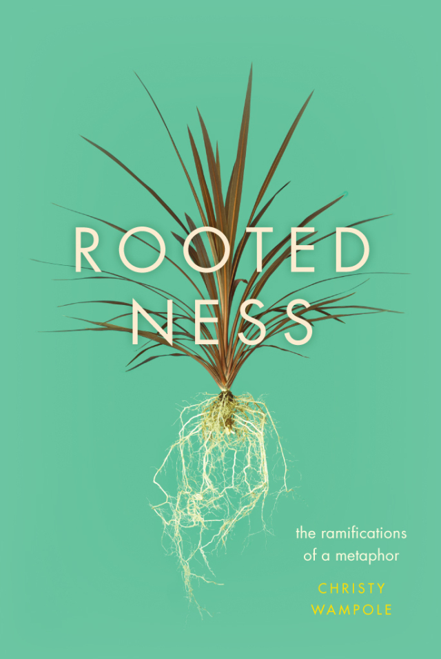 Rootedness