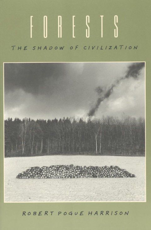 Cover image for book Forests