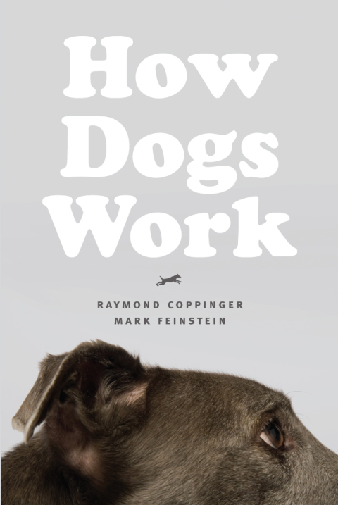 Cover image for book How Dogs Work