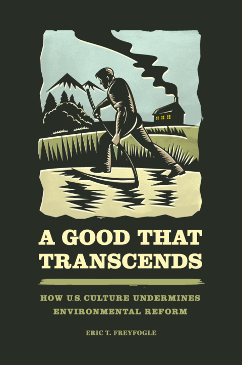 Cover image for book A Good That Transcends