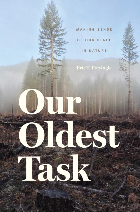 Cover image for book Our Oldest Task