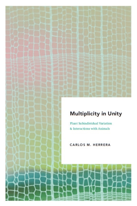 Cover image for book Multiplicity in Unity