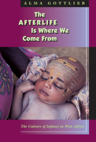 The Afterlife Is Where We Come From