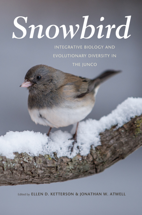 Cover image for book Snowbird