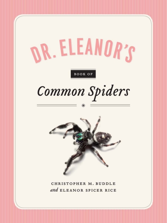 Dr. Eleanor's Book of Common Spiders