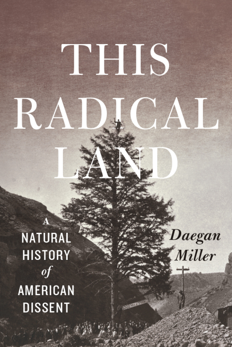 Cover image for book This Radical Land