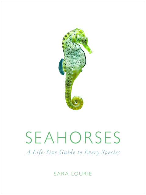 Cover image for book Seahorses