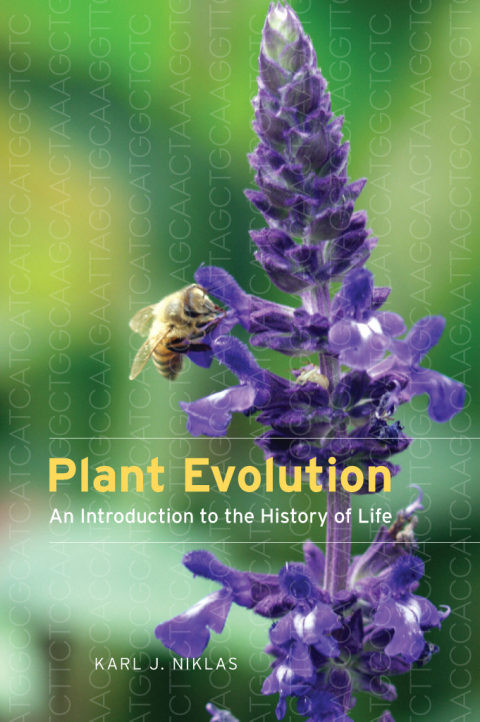 Cover image for book Plant Evolution