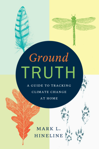 Ground Truth