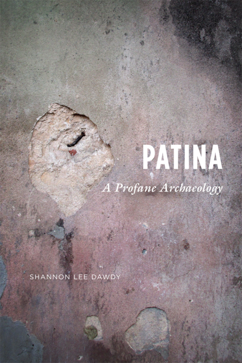 Cover image for book Patina