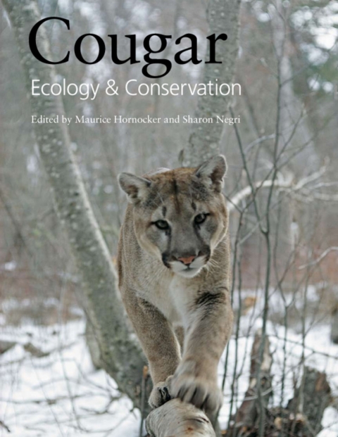 Cover image for book Cougar
