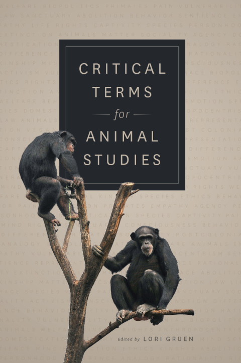 Cover image for book Critical Terms for Animal Studies