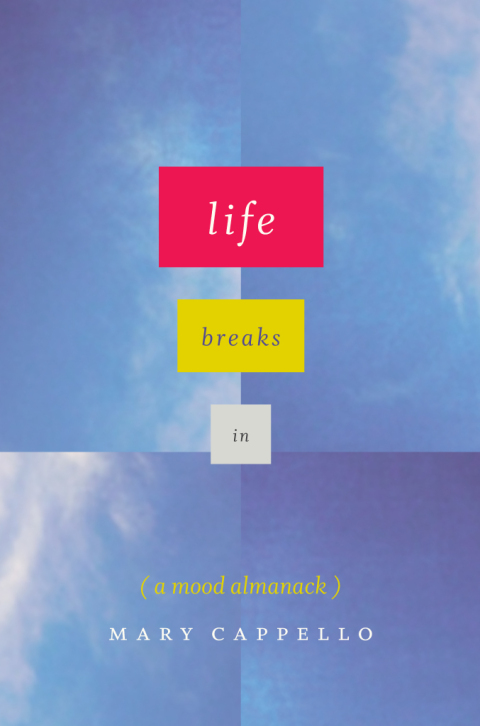 Cover image for book Life Breaks In