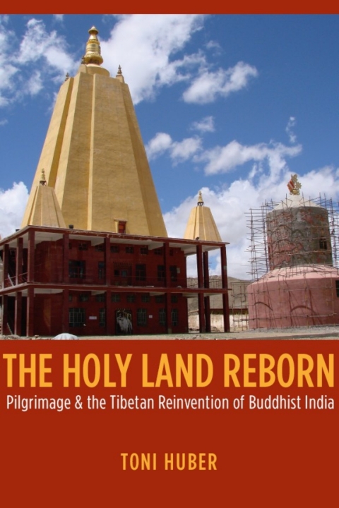 Cover image for book The Holy Land Reborn