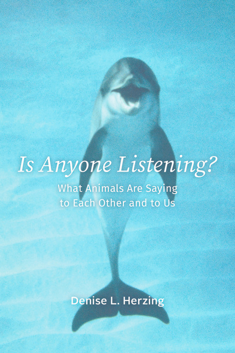 Cover image for book Is Anyone Listening?
