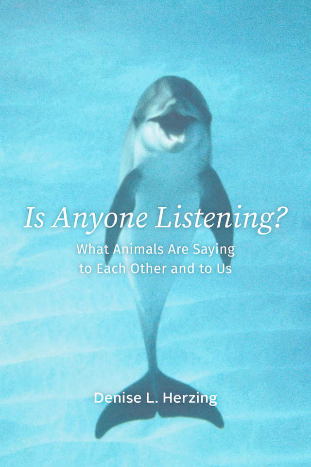 Is Anyone Listening?