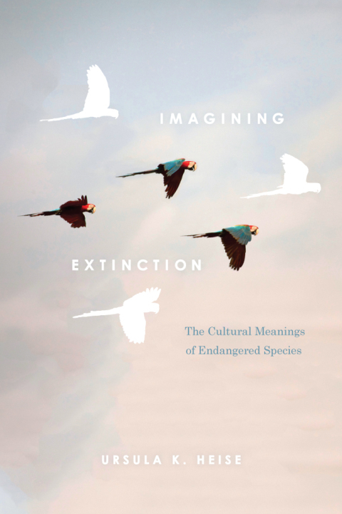 Cover image for book Imagining Extinction