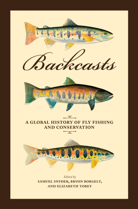 Cover image for book Backcasts