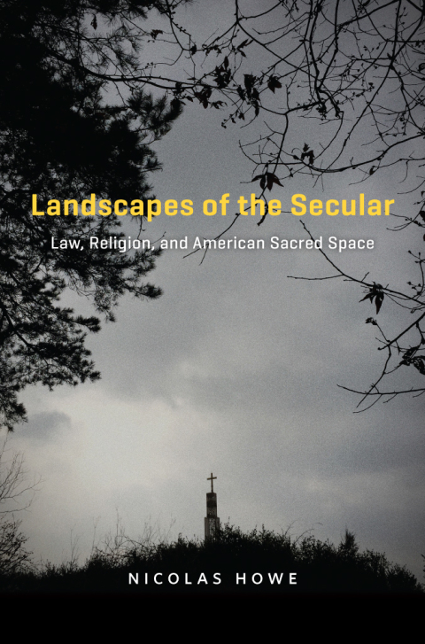 Cover image for book Landscapes of the Secular
