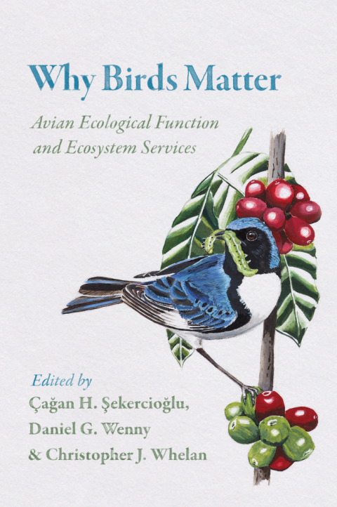 Cover image for book Why Birds Matter
