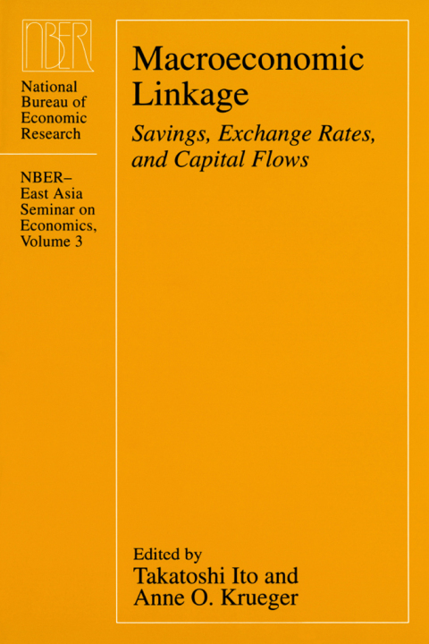 Cover image for book Macroeconomic Linkage