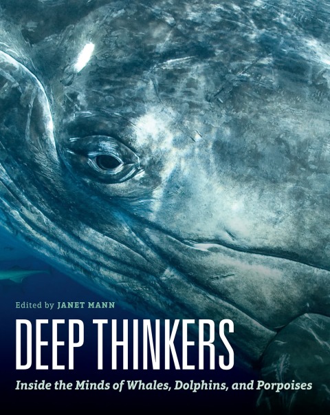 Cover image for book Deep Thinkers