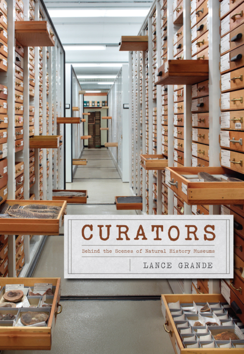 Cover image for book Curators