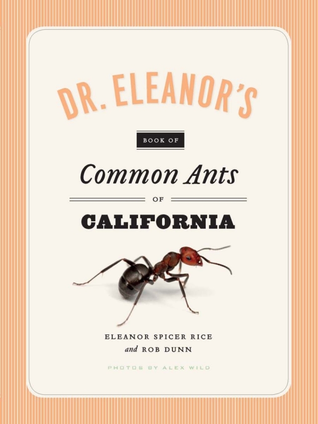 Dr. Eleanor's Book of Common Ants of California