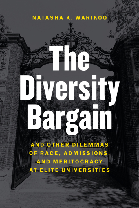 Cover image for book The Diversity Bargain