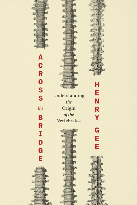 Cover image for book Across the Bridge