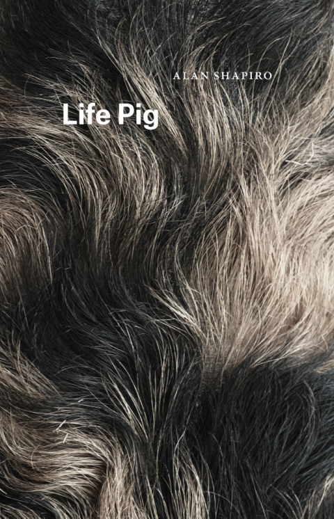 Cover image for book Life Pig