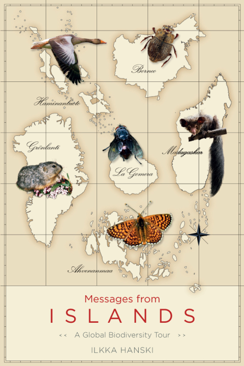 Cover image for book Messages from Islands