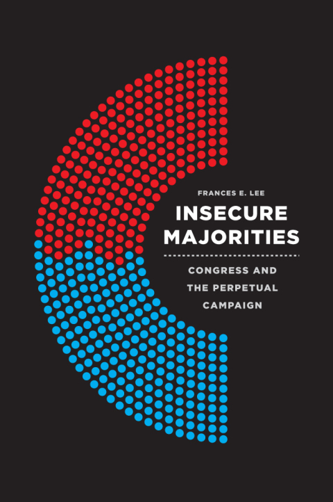 Cover image for book Insecure Majorities