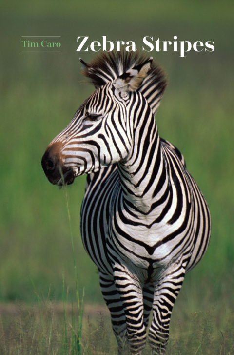 Cover image for book Zebra Stripes