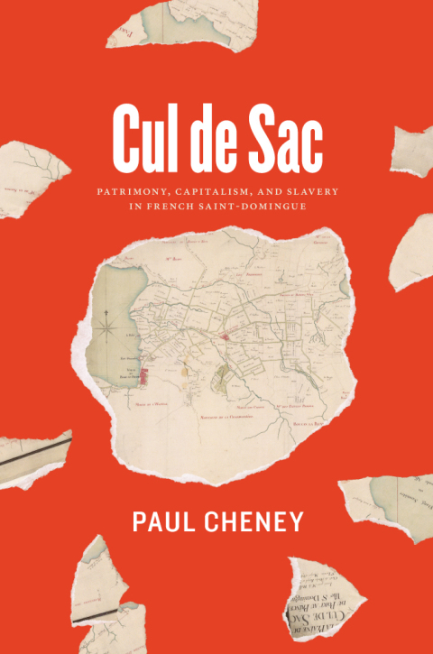 Cover image for book Cul de Sac