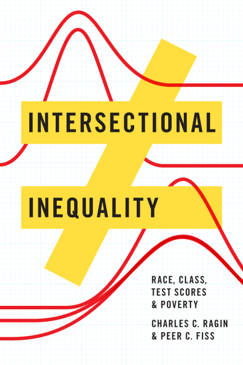 Cover image for book Intersectional Inequality