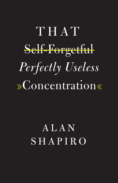 Cover image for book That Self-Forgetful Perfectly Useless Concentration