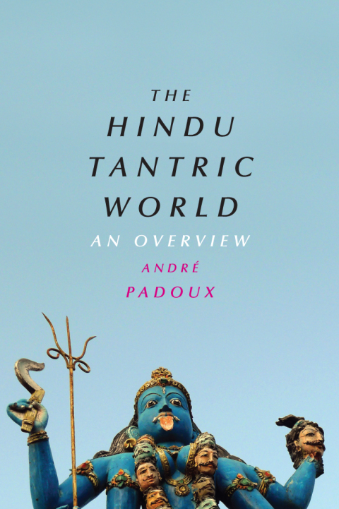 Cover image for book The Hindu Tantric World