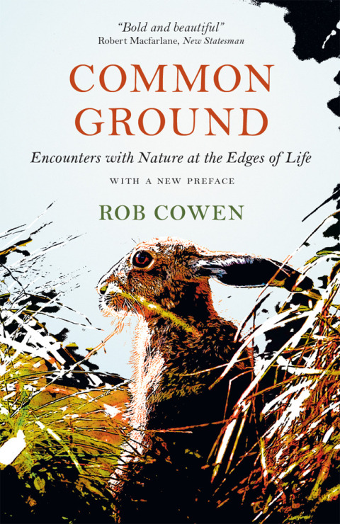 Cover image for book Common Ground