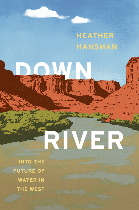 Cover image for book Downriver