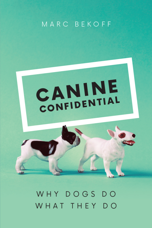Canine Confidential